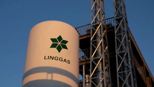 綠菱氣體年產1萬噸高純電子特氣項目技術服務公示