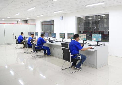 功能食品配料麥芽糖醇 技術(shù)發(fā)展、市場(chǎng)應(yīng)用與技術(shù)服務(wù)全景分析